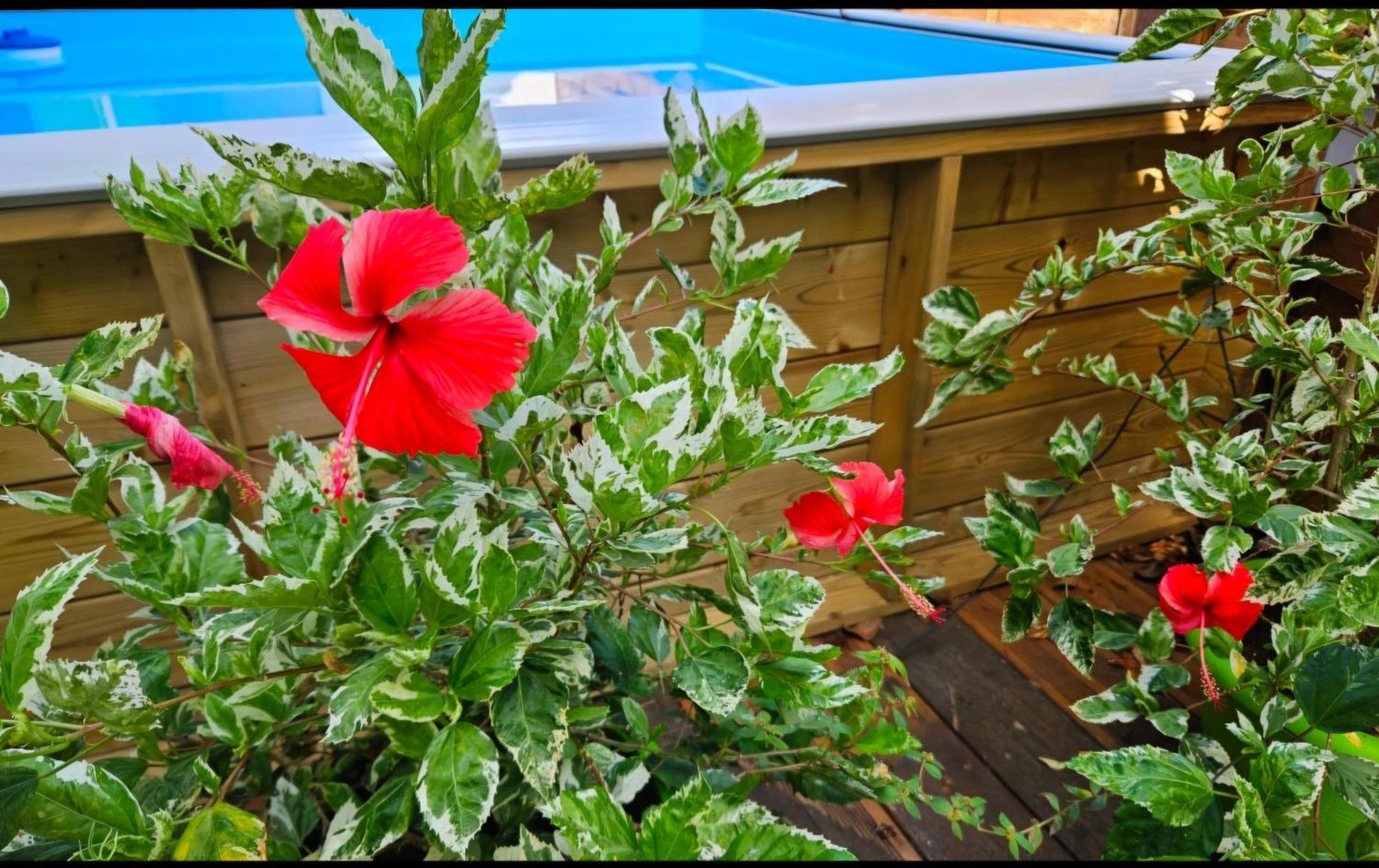 Gite Rubis Passion Port-Louis Dış mekan fotoğraf